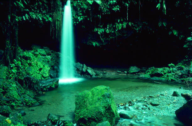 istock Emerald Pool, Dominica, Caribbean. 1263889837