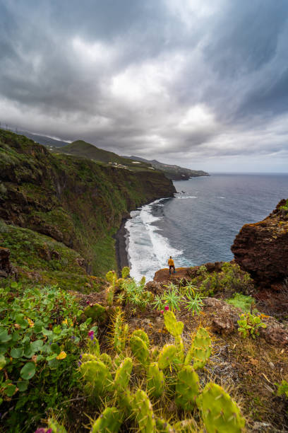 istock Man standing on cliff edge, looking at coastline, La Palma, Canary Islands, Spain 1263891068