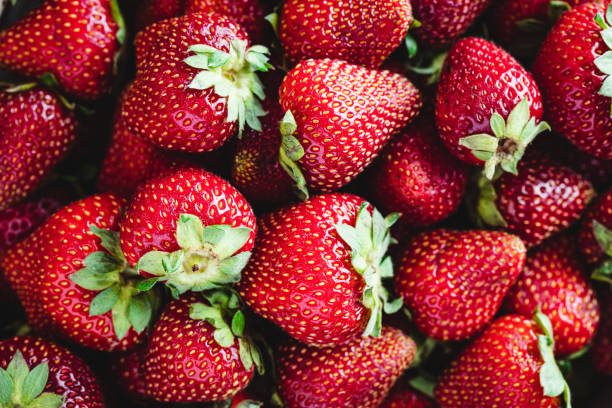 un montón de fresas maduras como fondo - farmers market fruit market berry fruit fotografías e imágenes de stock