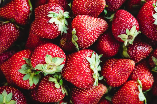 Full frame of fresh and juicy strawberries. Freshly harvest collection of strawberries.