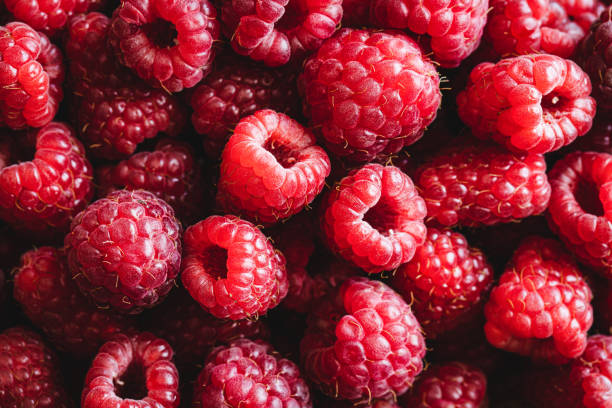 sammlung frischer roter himbeeren - raspberry stock-fotos und bilder