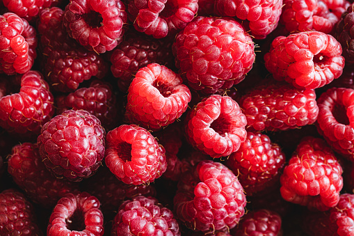 Full frame of juicy raspberries. Collection of fresh red raspberries.