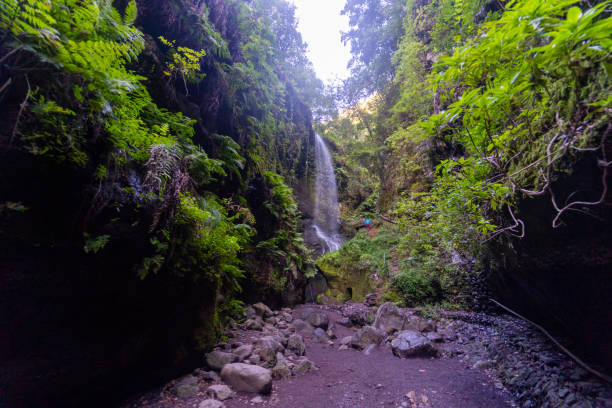 istock Gorge with waterfall, La Palma, Canary Islands, Spain 1263891893