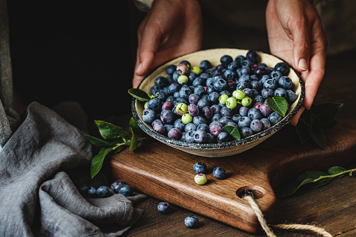 Woman with freshly picked blueberries n a bowl. Woman hands holding a bowl full of ripe blueberries.