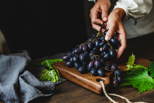 Close-up of a woman hand with bunch of black grapes on a wooden table. Female with freshly picked black grapes.