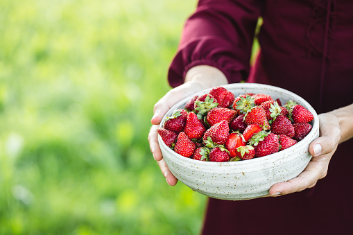 Young girl smiling at the camera with the focus on her fingers that have strawberries on them. She is standing in an allotment that is located in North Shields.