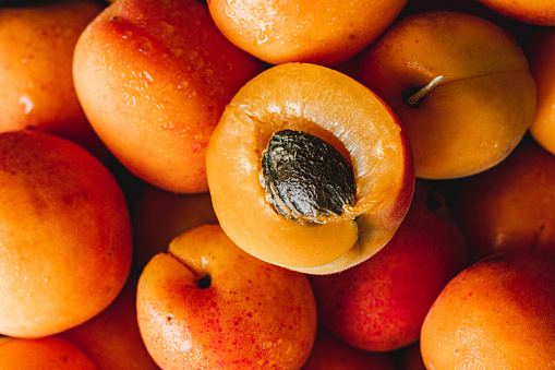 Ripe Peaches on Tree. Shallow DOF.