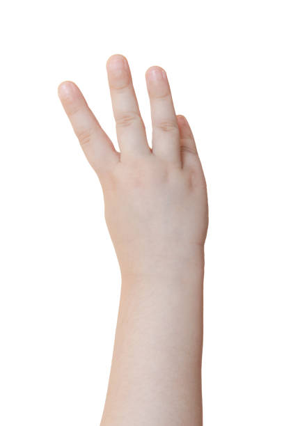 istock Hand of a child making number four on white background 1263893048