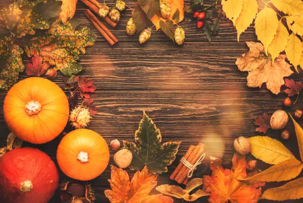 Photo of Thanksgiving background, food autumn harvest concept. Rustic table with Apples, pumpkins, nuts, grapes and corn on dark table with copy space, top view