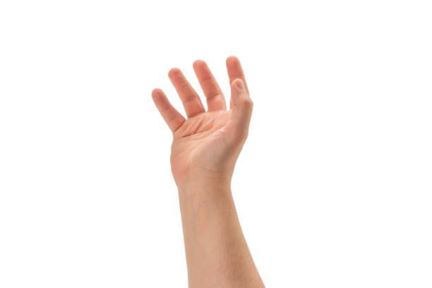 istock Male hand isolated on white. 1263894655