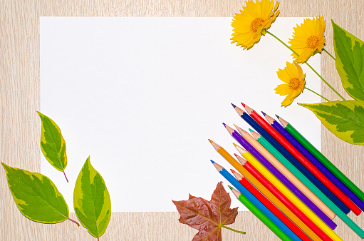 Color pencils, paint tubes, canvas for painting and autumn leaves on wooden desk. Back to school and art concept. Copy space. Flat lay.