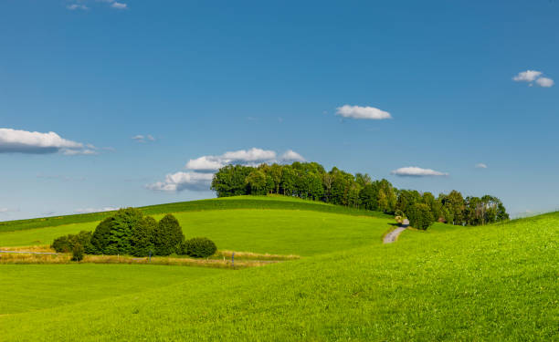 Landscape near Perlesreut in the Bavarian Forest