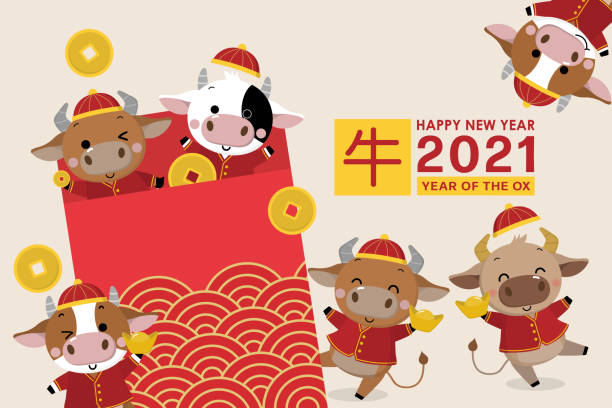 szczęśliwego chińskiego nowego roku kartka z życzeniami. 2021 wół zodiaku. urocza krowa w czerwonym kostiumie i złotych pieniądzach. zwierzę wakacje postać z kreskówki. przetłumaczono: wół. -wektor - thailand thai culture thai cuisine vector stock illustrations
