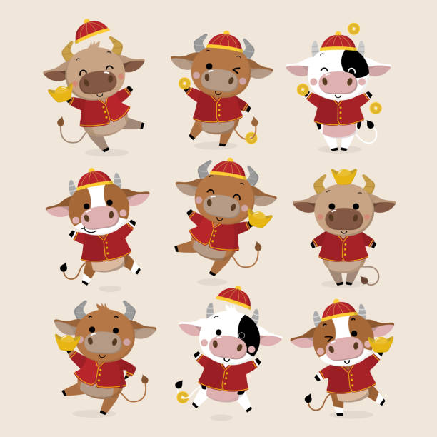 ilustrações de stock, clip art, desenhos animados e ícones de happy chinese new year greeting card. 2021 ox zodiac. cute cow in red costume and gold money. animal holidays cartoon character. - thailand thai culture thai cuisine vector