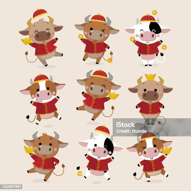 Happy Chinese New Year Greeting Card 2021 Ox Zodiac Cute Cow In Red Costume  And Gold Money Animal Holidays Cartoon Character Stock Illustration -  Download Image Now - iStock