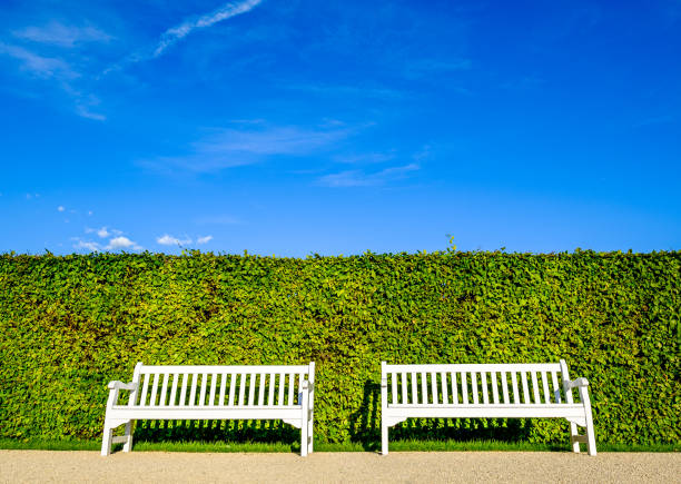 new benches at a park - photo