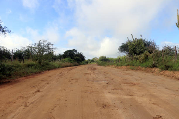 istock rain in caatinga - wet clay road after heavy rains 1263903313