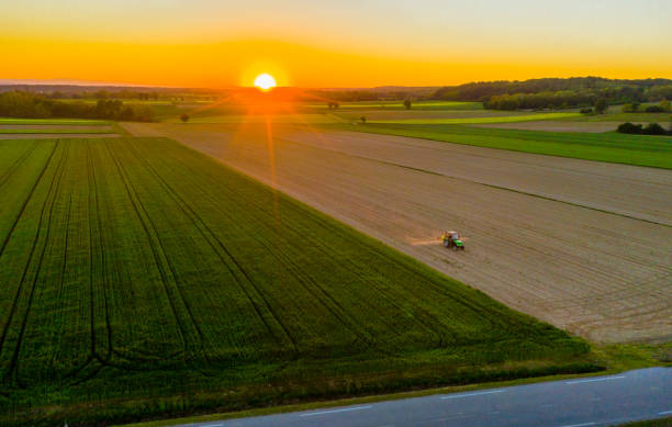 istock Tractor in field at sunrise 1263904551