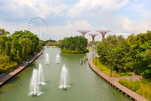 Singapore-November 25, 2019:Fountains in Singapore's Marina Bay Park, Giant Ferris Wheel and Supertree Grove in the Garden by the Bay