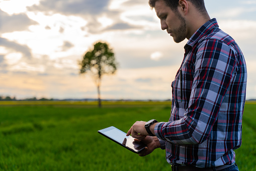 Close up of farmer wearing checked shirt standing at agricultural field and using tablet