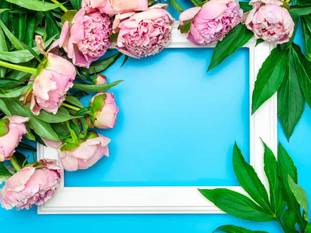 istock White frame, pink peonies on a blue background, top view, copy space, flat lay. Mockup greeting card. Greeting ideas for mother's day, women's day, Valentine's day, birthday. Bright holiday concept 1263905208