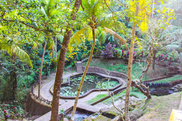 istock Goa Gajah Temple, Ubud, Bali, Indonesia 1263905554
