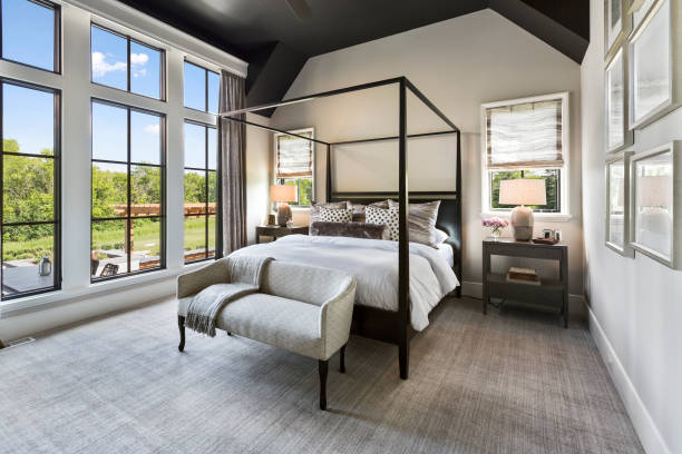 Amazing bedroom beautiful ceiling and windows
