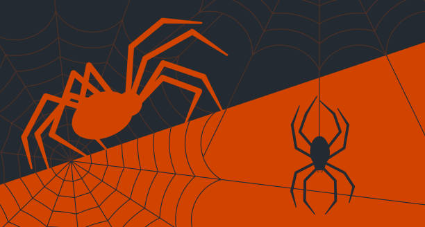 ilustrações de stock, clip art, desenhos animados e ícones de halloween spiders - fobia ilustrações