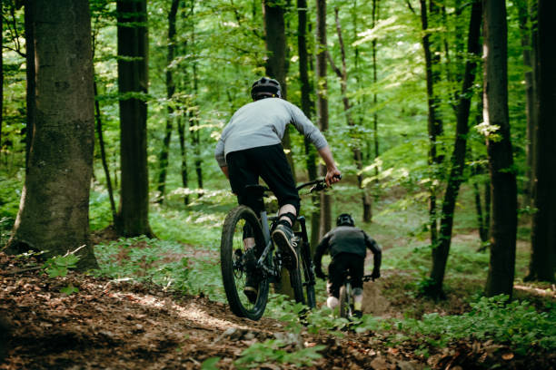 istock Mountain bikers in green forest 1263910110