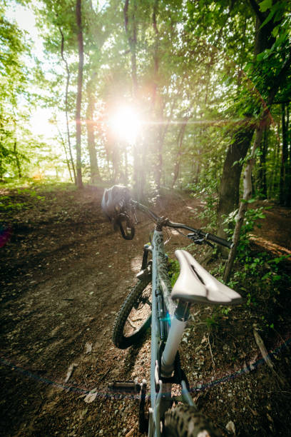 istock Mountain bike in forest 1263910613