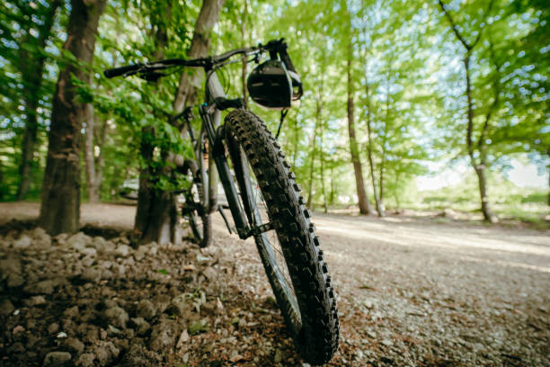 istock Mountain bike in forest 1263910809
