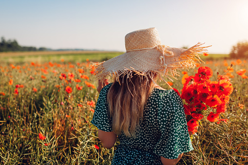 Woman holding bouquet of poppies flowers walking in summer field. Young girl in straw hat enjoys blooming natural landscape