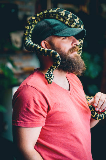 istock Unusual Wild Pet 1263913289