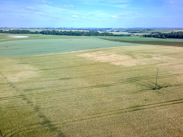 istock aerial view of a field 1263913310