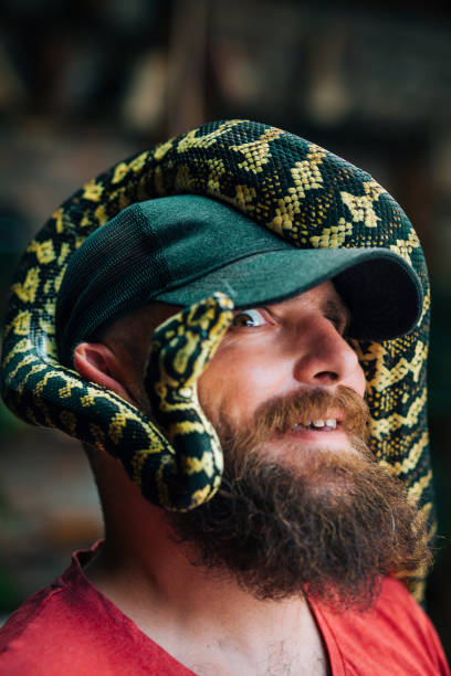 Unusual Wild Pet Python, Snake, Man, Hipster, Portrait snakes beard stock pictures, royalty-free photos & images