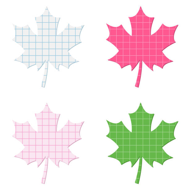 Maple leaf shape cut out of squared graph paper vector art illustration