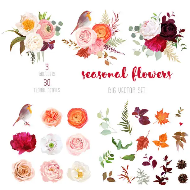 Vector illustration of Peachy rose, white and burgundy red peony, orange ranunculus, carnation, papaver