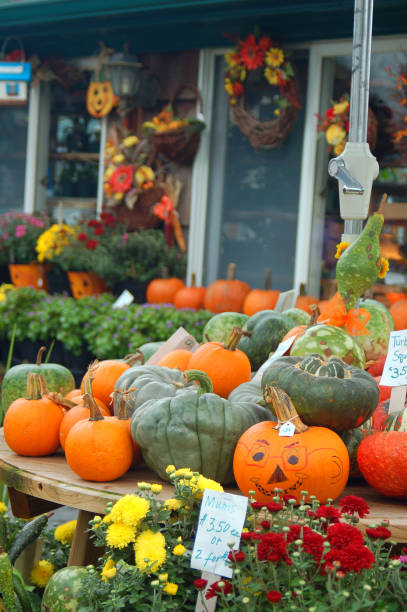 istock Pumpkins and squash at a roadside farm 1263916070