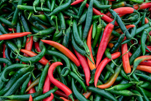 istock Red and green chili pepper. 1263919680