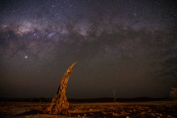 istock Desert against starry night sky, Deadvlei, Namibia, Africa 1263919940