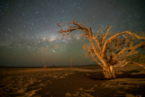 istock Milky way seen from desert, Deadvlei, Namibia, Africa 1263920630
