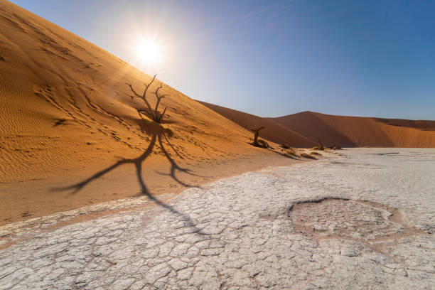 istock Sun shining over mountain on desert, Deadvlei, Namibia, Africa 1263920707