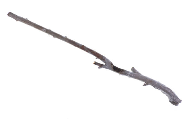 istock gray painted wooden stick isolated on white background 1263921945