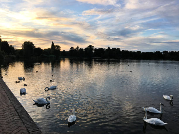 istock A view of the Lake at Ellesmere 1263924527