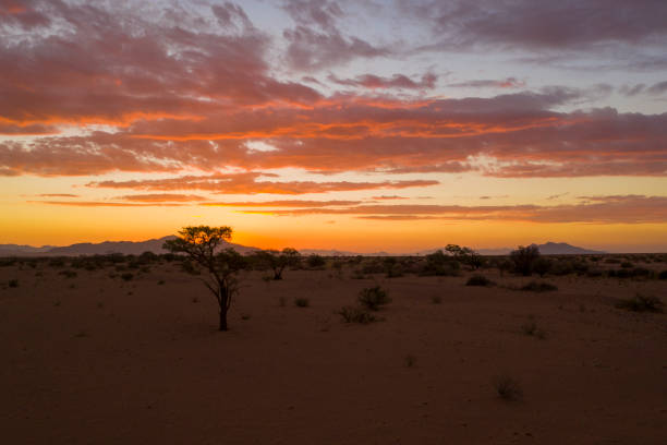 istock Clouds and sunlight over desert, Namibia, Africa 1263924614