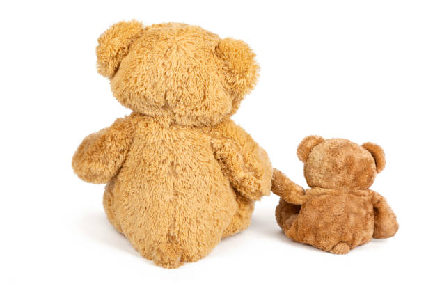istock teddy bear family 1263924795