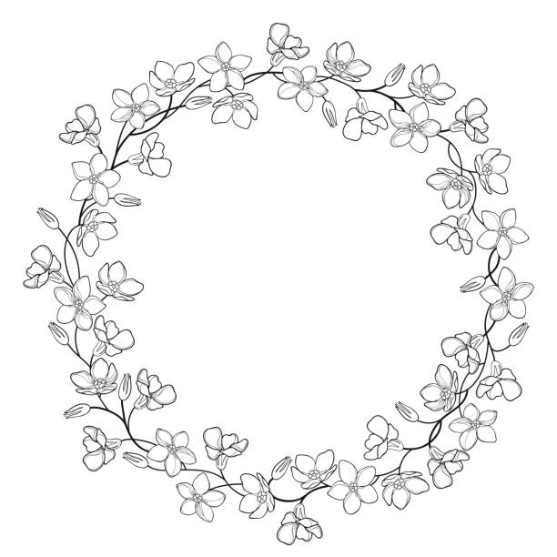 illustrazioni stock, clip art, cartoni animati e icone di tendenza di corona rotonda vettoriale con contorno dimenticami no o mazzo di fiori di myosotis, gambo e bocciolo in nero isolato su sfondo bianco. - circle nature botany bud