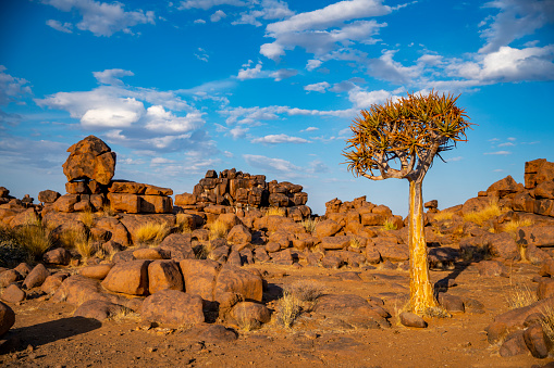 Desert view at Twyfelfontein in Damaraland Namibia, Africa
