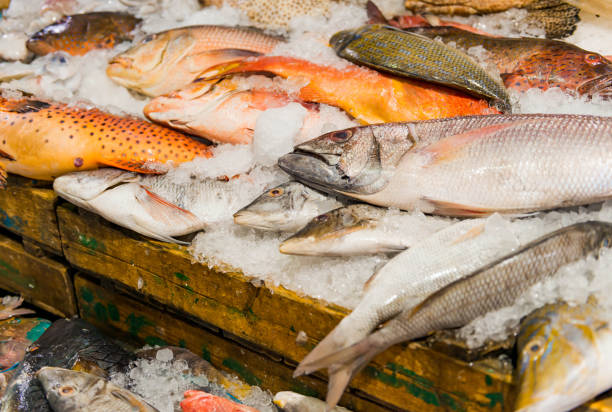 istock fresh catched sea fish on ice 1263927864