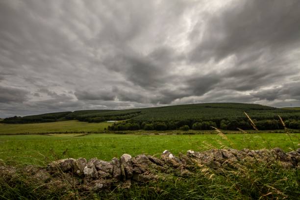 istock Lush Meadow Of The Borders. 1263928927